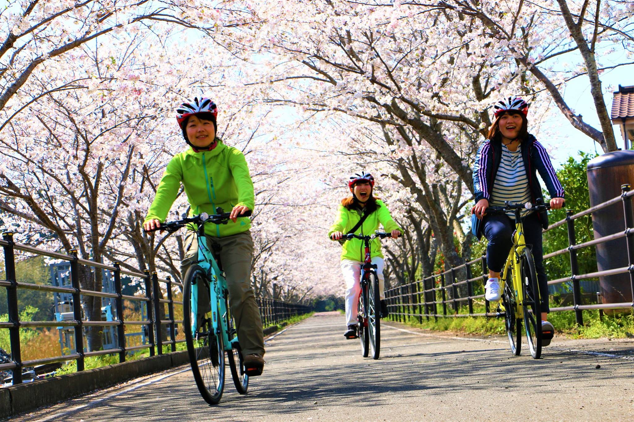 南さつま市 支援制度