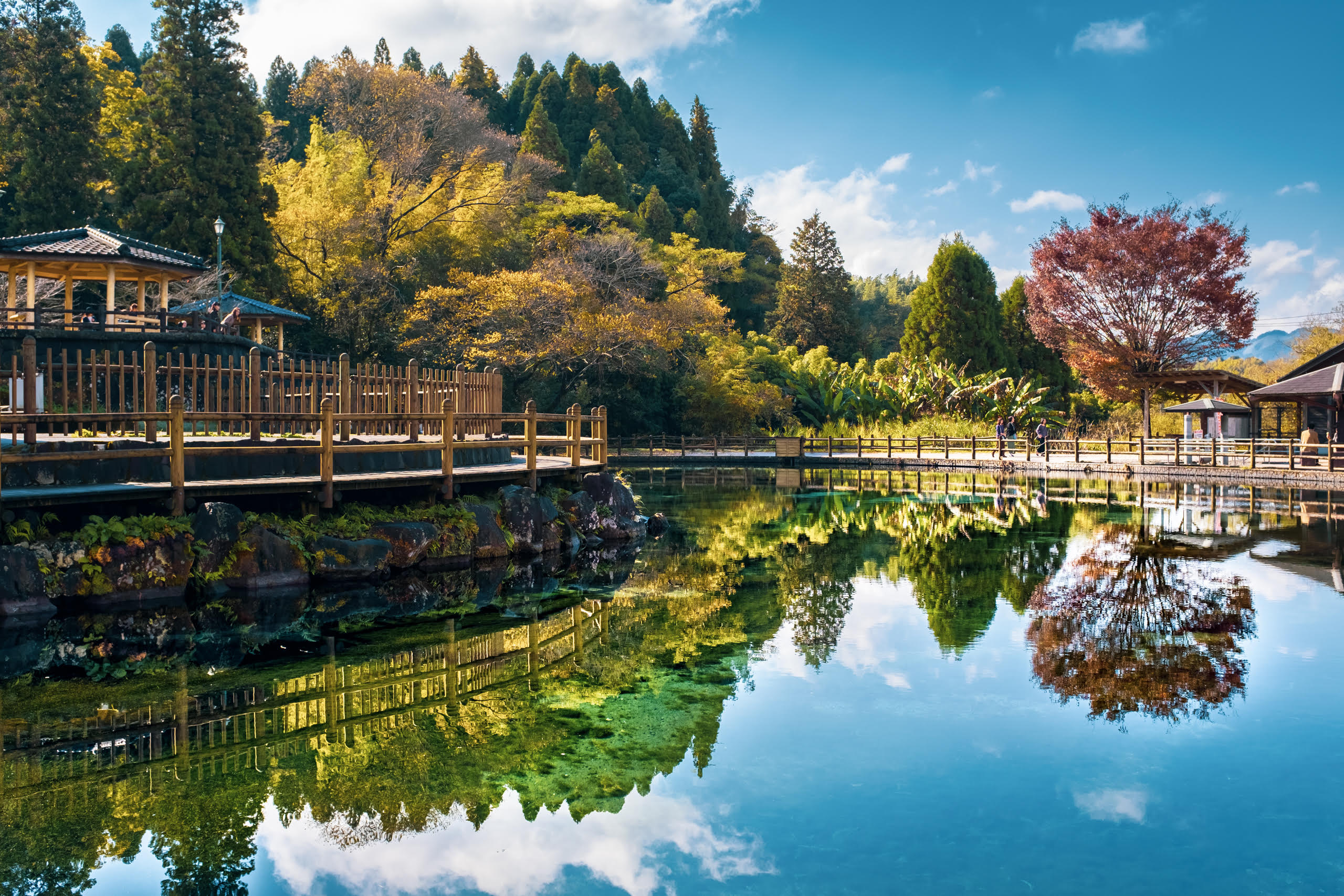 丸池公園（丸池湧水）