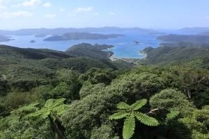 油井岳展望台