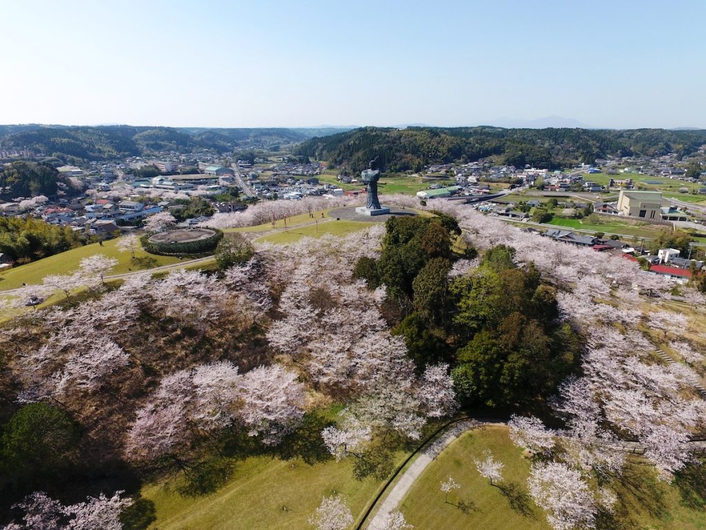 活動歴および当時の関連ビジュアル記録