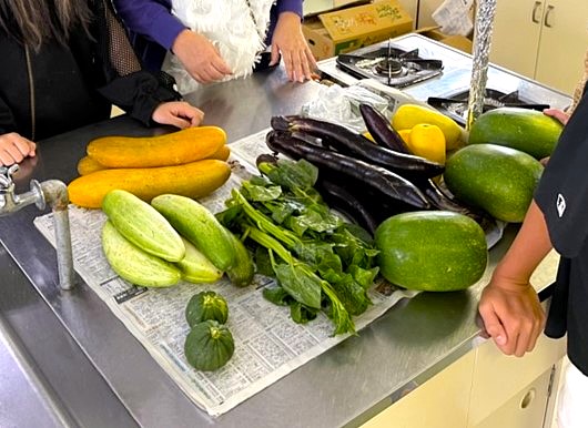 野菜の出荷体験